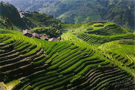 Long Ji Rice Terraces, Ping An Village, Longsheng, China Foto de stock - Direito Controlado, Número: 700-02386258