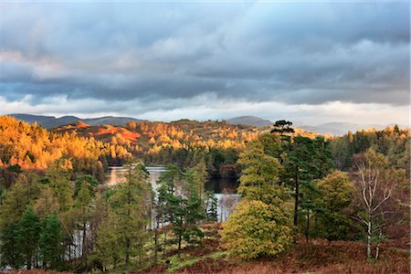 Autumn, Tarn Hows, Lake District, Cumbria, England Stock Photo - Rights-Managed, Code: 700-02428454