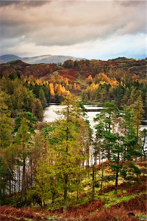 Autumn, Tarn Hows, Lake District, Cumbria, England Stock Photo - Rights-Managed, Code: 700-02428455