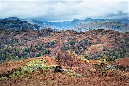 Furness Fells, Lake District, Cumbria, Angleterre Photographie de stock - Rights-Managed, Code: 700-02428467