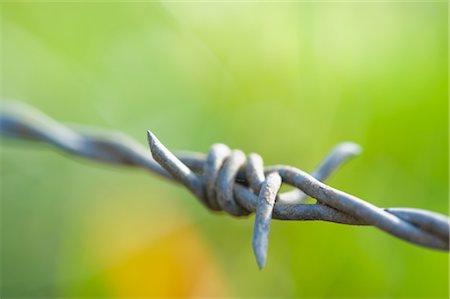 Close-up of Barbed Wire Foto de stock - Con derechos protegidos, Código: 700-02428763