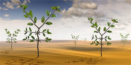 Yen-Shaped Plants Growing in the Desert Foto de stock - Con derechos protegidos, Código: 700-02429139