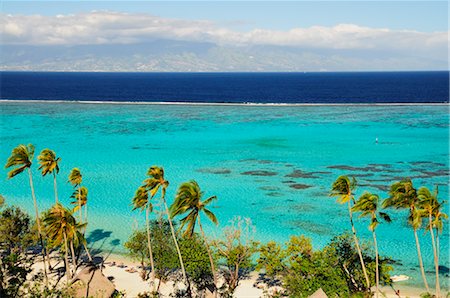 simsearch:600-02590665,k - Temae Beach, View of Tahiti in the Distance, Moorea, Society Islands, French Polynesia, South Pacific Foto de stock - Con derechos protegidos, Código: 700-02429252