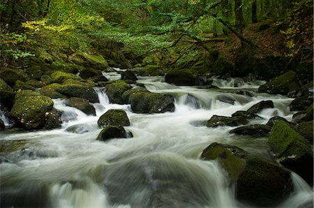 Waterfall in Forest, Snowdonia National Park, Betws-y-Coed, Conway,  Wales Foto de stock - Con derechos protegidos, Código: 700-02463563