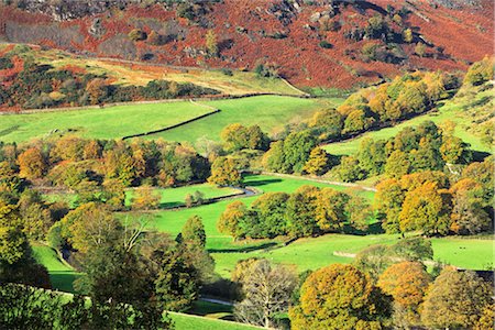 simsearch:700-06059821,k - Feilds, Furness Fells, Lake District, Cumbria, England Foto de stock - Con derechos protegidos, Código: 700-02463574