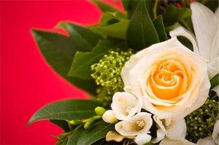 Close-up of Bouquet Foto de stock - Con derechos protegidos, Código: 700-02586209