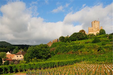 france countryside hills - Chateau de Kaysersberg, Kaysersberg, Haut-Rhin, Alsace, France Stock Photo - Rights-Managed, Code: 700-02590733