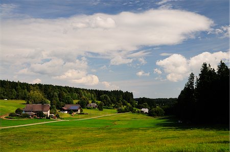 Moosloch-Tal, Unterkirnach, Schwarzwald, Baden-Württemberg, Deutschland Stockbilder - Lizenzpflichtiges, Bildnummer: 700-02590740