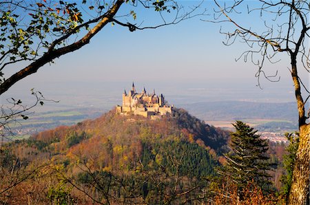 Tree on Hillside by Hohenzollern Castle, Hechingen, Baden-Wurttemberg, Germany Stock Photo - Rights-Managed, Code: 700-02633435