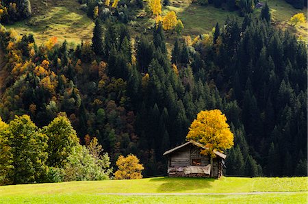 rustic cabins - Cabin by Forest, Grindelwald, Bernese Alps, Switzerland Stock Photo - Rights-Managed, Code: 700-02633446