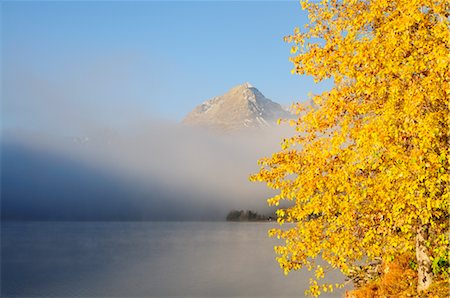 simsearch:700-02633487,k - Brume sur le lac St Moritz, Suisse Photographie de stock - Rights-Managed, Code: 700-02633486