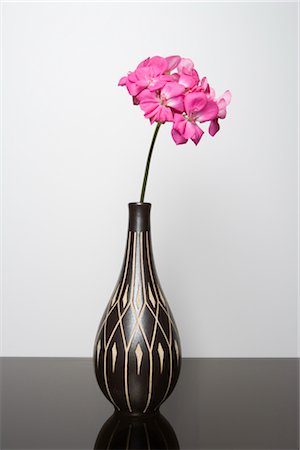 scented geranium - Still Life of Geranium in Vase Stock Photo - Rights-Managed, Code: 700-02659615