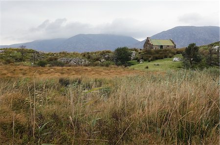 picture of house with high grass - Cottage by Mountains, Connemara, County Galway, Connemara, Ireland Stock Photo - Rights-Managed, Code: 700-02669416