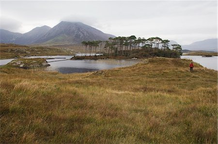 Woman by Water and Mountains, Pine Island, Loch Derryclare, County Galway, Connemara, Ireland Stock Photo - Rights-Managed, Code: 700-02669418