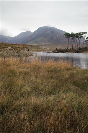 simsearch:700-02289029,k - Island in Lake by Mountains, Pine Island, Loch Derryclare, County Galway, Connemara, Ireland Stock Photo - Rights-Managed, Code: 700-02669419