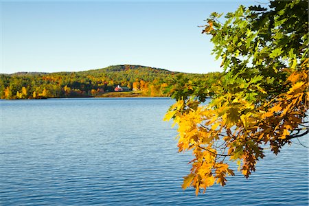 Overview of Lake, Vermont, USA Foto de stock - Con derechos protegidos, Código: 700-02669721