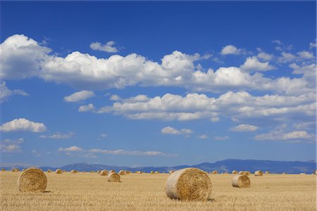 Hay Bales in Field, Vaucluse, Provence, France Foto de stock - Con derechos protegidos, Código: 700-02671127