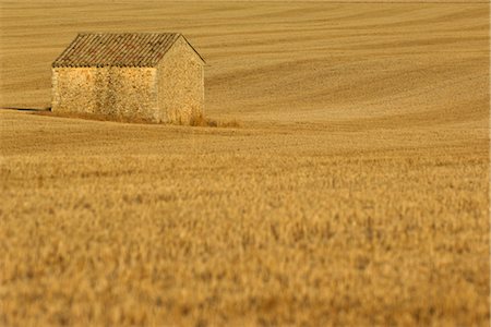 simsearch:700-01072791,k - Stone Building in Cornfield, Provence, France Foto de stock - Con derechos protegidos, Código: 700-02671128