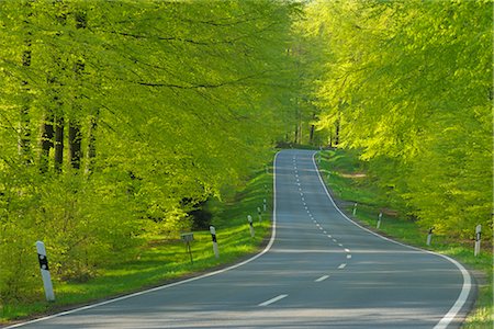 route moins fréquentée - Route à travers la forêt de hêtres au printemps, Spessart, Bavière, Allemagne Photographie de stock - Rights-Managed, Code: 700-02671185