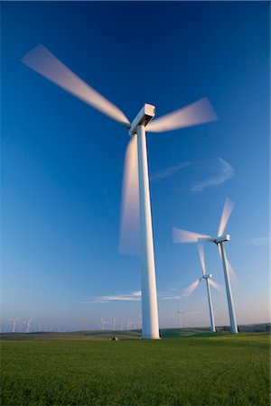 recurso natural - Wind Turbines, Bird's Landing, California, USA Foto de stock - Con derechos protegidos, Código: 700-02698332