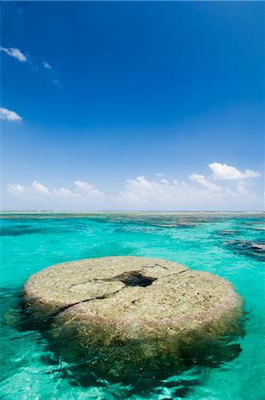 Effacer les eaux Tropical et les récifs coralliens, île d'Ishigaki, îles Yaeyama, Okinawa, Japon Photographie de stock - Rights-Managed, Code: 700-02698393