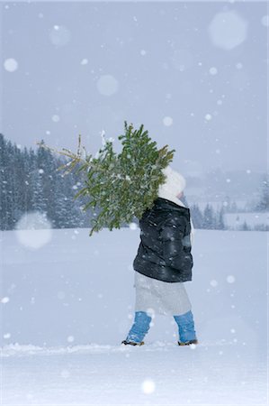 Woman Carrying Christmas Tree, Salzburg, Austria Stock Photo - Rights-Managed, Code: 700-02700172