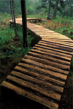 Cedar Walkway, Shampers Bluff, New Brunswick, Canada Stock Photo - Rights-Managed, Code: 700-02700385