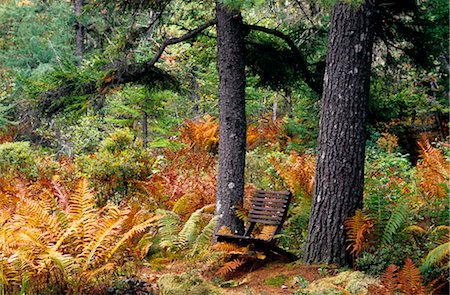 Bench, Shampers Bluff, New Brunswick, Canada Foto de stock - Con derechos protegidos, Código: 700-02700387