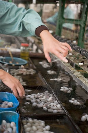 simsearch:841-03871437,k - Personnes travaillant dans l'usine de soie n ° 1 à Suzhou, Chine Photographie de stock - Rights-Managed, Code: 700-02700769