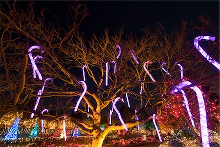 Festival der Lichter, VanDusen Botanical Garden, Vancouver, British Columbia, Kanada Stockbilder - Lizenzpflichtiges, Bildnummer: 700-02701298