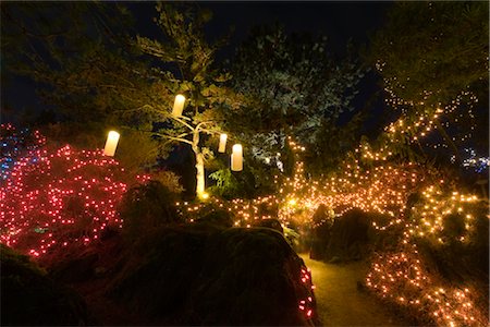 Festival des lumières, le jardin botanique VanDusen, Vancouver, Colombie-Britannique, Canada Photographie de stock - Rights-Managed, Code: 700-02701299
