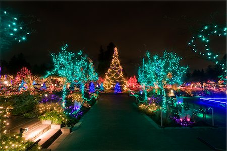 Festival des lumières, le jardin botanique VanDusen, Vancouver, Colombie-Britannique, Canada Photographie de stock - Rights-Managed, Code: 700-02701303