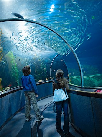 Children, Aquarium of the Bay, San Francisco, California, USA Foto de stock - Direito Controlado, Número: 700-02702619