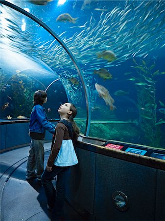 Enfants, Aquarium de la baie, San Francisco, Californie, USA Photographie de stock - Rights-Managed, Code: 700-02702620