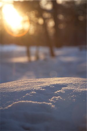 Snowdrift at Sunset, Prince Edward County, Ontario, Canada Foto de stock - Con derechos protegidos, Código: 700-02738075