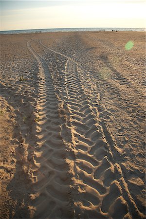 Tire Tracks in Sand, Presqu'ile Provincial Park, Ontario, Canada Stock Photo - Rights-Managed, Code: 700-02738099