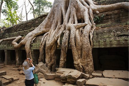 Silk Cotton Tree, Ta Prohm Temple, Angkor Thom City, Siem Reap, Cambodia Stock Photo - Rights-Managed, Code: 700-02738489