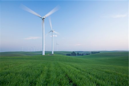 Les éoliennes, atterrissage, Californie, USA oiseau Photographie de stock - Rights-Managed, Code: 700-02738524