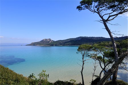 Porquerolles, Var, France Stock Photo - Rights-Managed, Code: 700-02756515