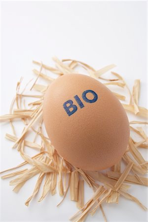 Organic Egg Fotografie stock - Rights-Managed, Codice: 700-02756774