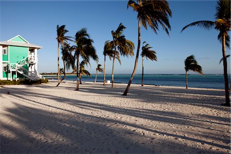 Maison sur la plage, îles Caïmans Photographie de stock - Rights-Managed, Code: 700-02757599