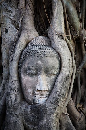 Statue de Bouddha dans l'arbre de Bodhi Roots, Temple Mahathat, Ayutthaya parc historique, Ayutthaya, Thaïlande Photographie de stock - Rights-Managed, Code: 700-02828385