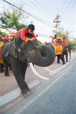 A Mahout Giving a Rose to His Elephant, Ayutthaya Historical Park, Ayutthaya, Thailand Stock Photo - Rights-Managed, Code: 700-02828381