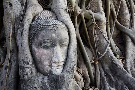 simsearch:862-06825828,k - Buddha-Statue im Bodhi-Baum Wurzeln, Mahathat Tempel, Ayutthaya Historical Park, Ayutthaya, Thailand Stockbilder - Lizenzpflichtiges, Bildnummer: 700-02828383