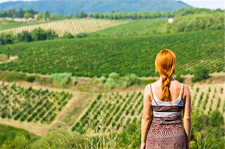 Back View of Woman Looking at Vineyard in Chianti, Tuscany, Italy Foto de stock - Con derechos protegidos, Código: 700-02828623