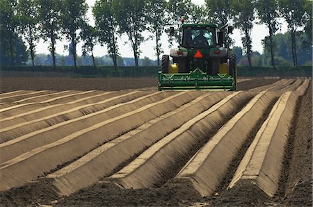 Farmer Plowing Field, Wolphaartsdijk, Zeeland, Netherlands Stock Photo - Rights-Managed, Code: 700-02832914