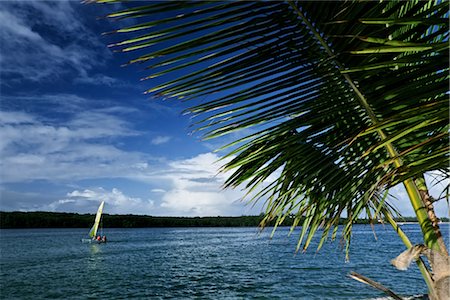 Sailing, Shandrani Hotel, Mauritius Stock Photo - Rights-Managed, Code: 700-02833414