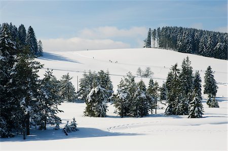sciatori di fondo - Black Forest in Winter, Near Schoenwald, Baden-Wuerttemberg, Germany Fotografie stock - Rights-Managed, Codice: 700-02833921