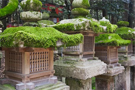 simsearch:700-02887278,k - Pierre lanternes, sanctuaire Kasuga Taisha, Nara, préfecture de Nara, Kansai, Honshu, Japon Photographie de stock - Rights-Managed, Code: 700-02887293