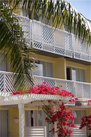 flower plant in balcony - Hotel, Grand Bahama Island, Bahamas Stock Photo - Rights-Managed, Code: 700-02887322